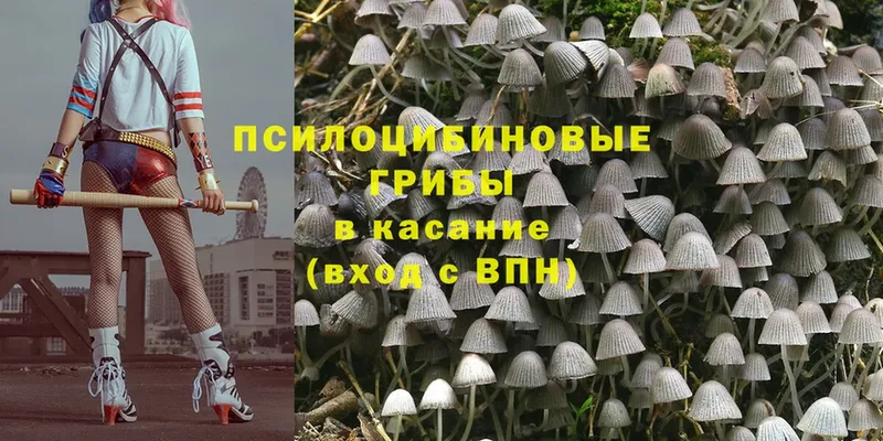 KRAKEN зеркало  Ишим  Псилоцибиновые грибы Magic Shrooms 